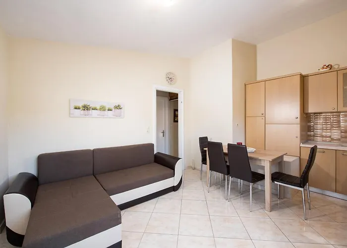 Callistemon Loft Daire *