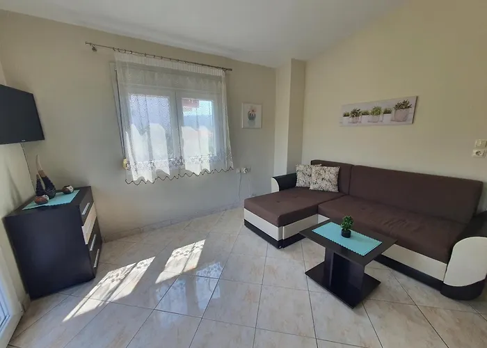 Callistemon Loft Daire *